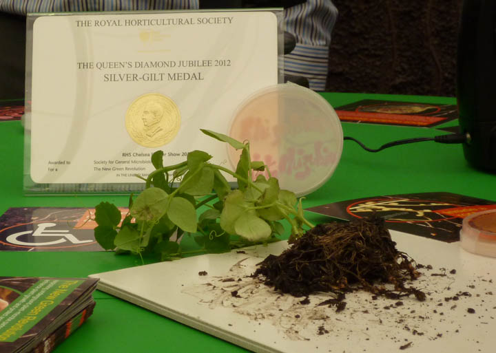 Chelsea Flower Show microbiology silver gilt medal winner